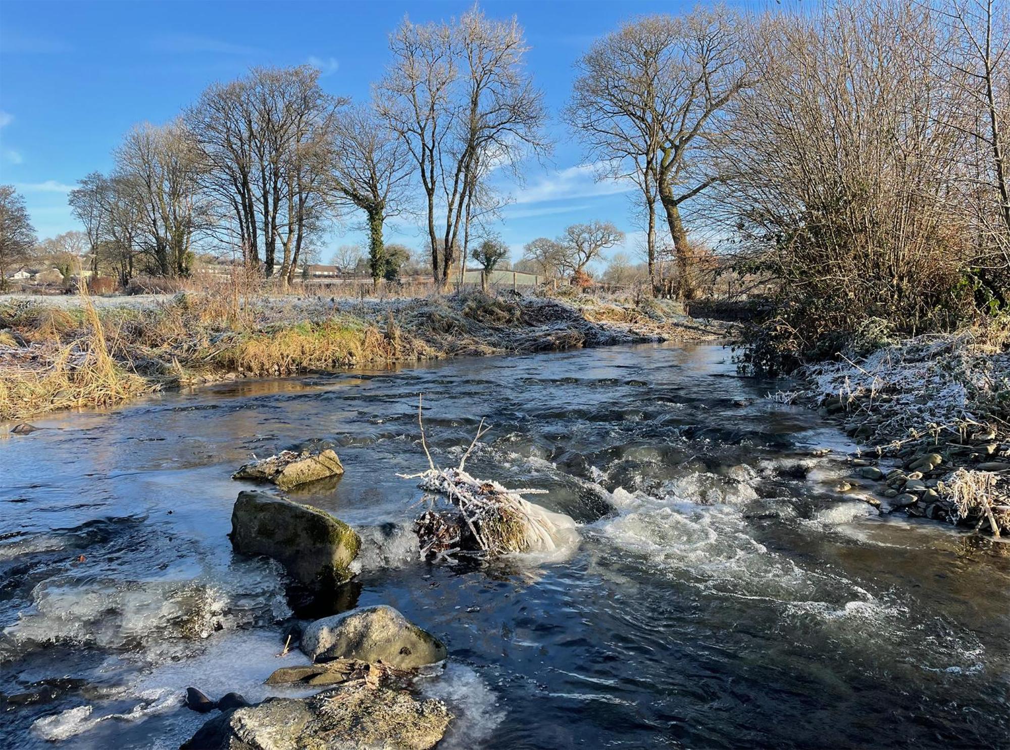 Maesyfelin Isaf * Llanybyther