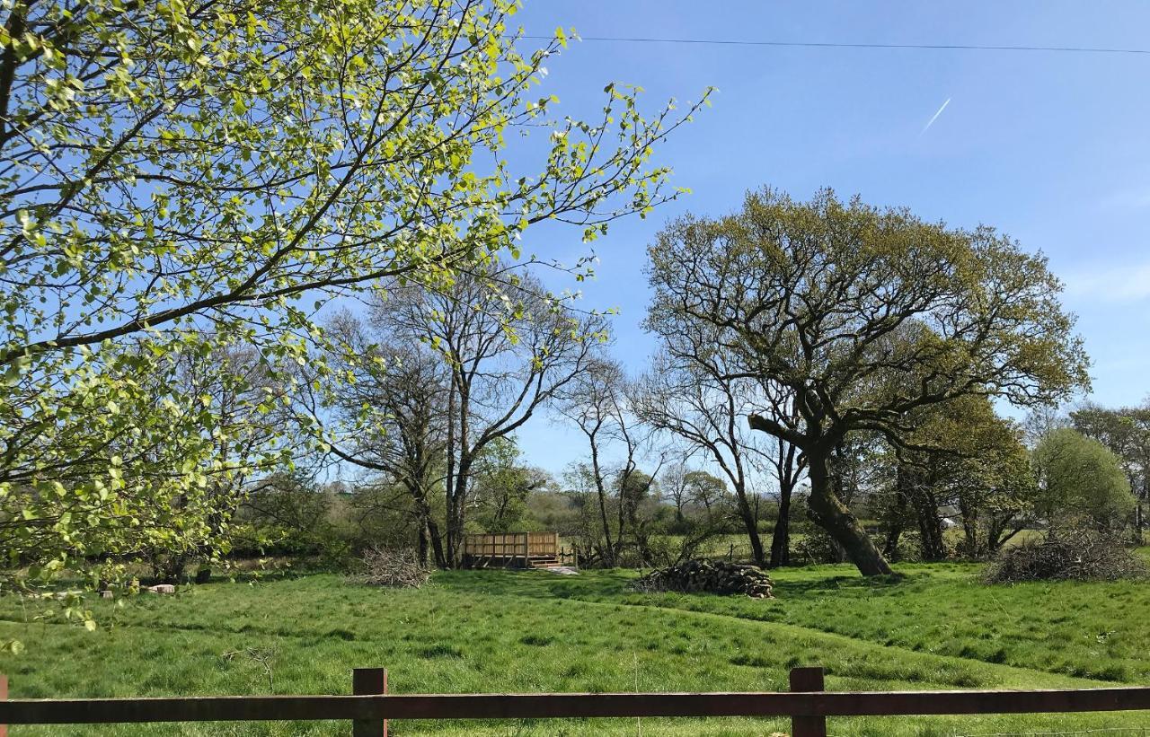Maesyfelin Isaf Holiday home