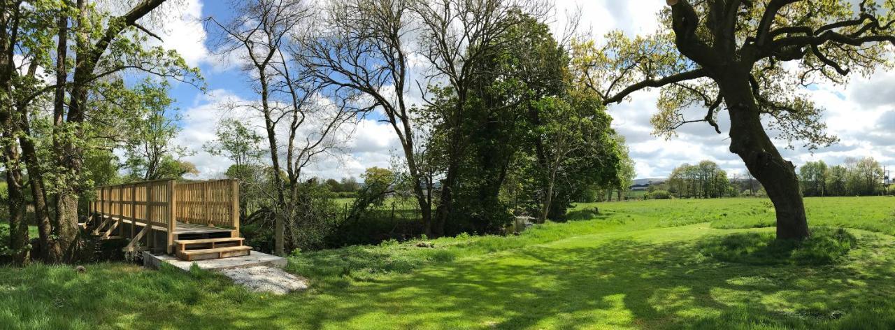 Maesyfelin Isaf Llanybydder