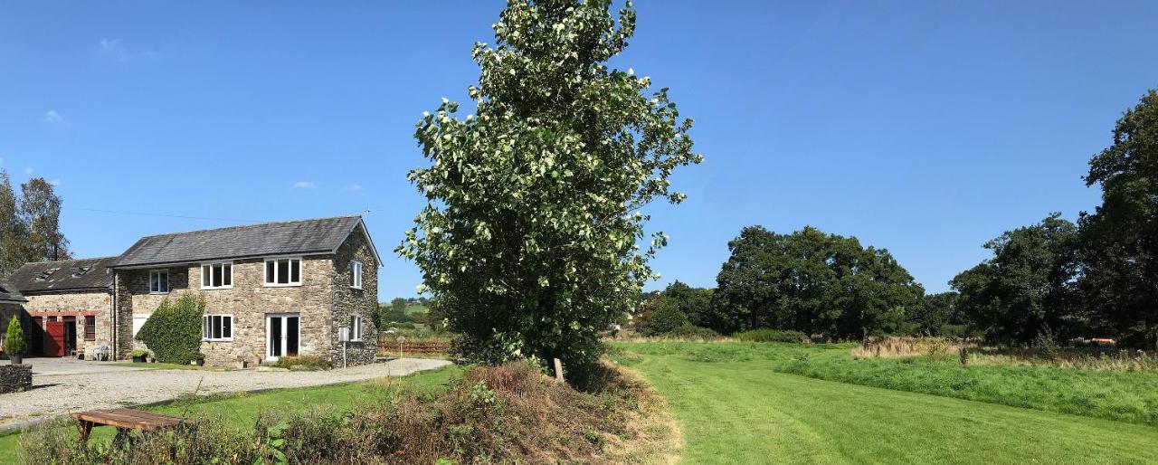 Holiday home Maesyfelin Isaf *