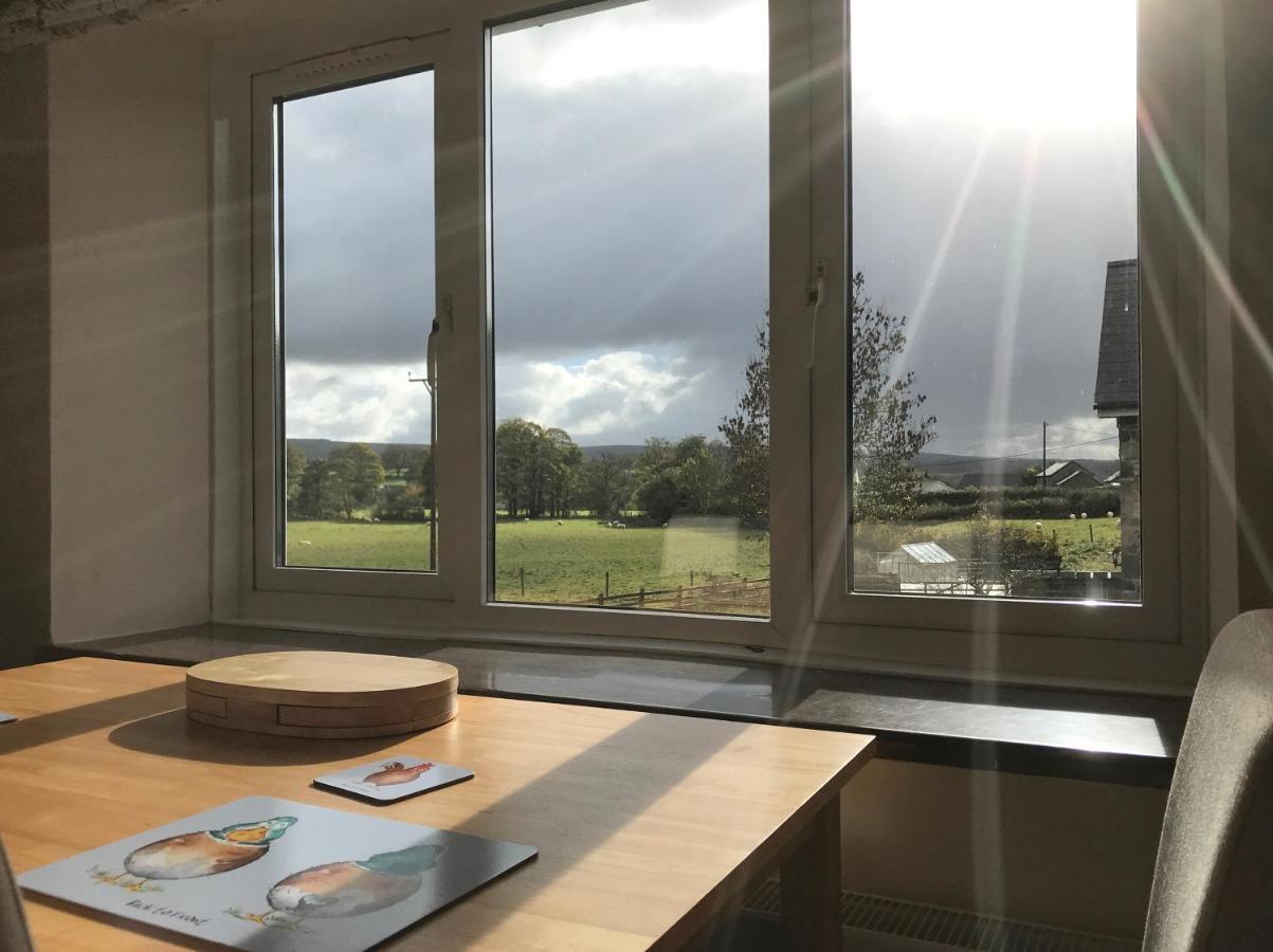 Holiday home Maesyfelin Isaf Llanybydder