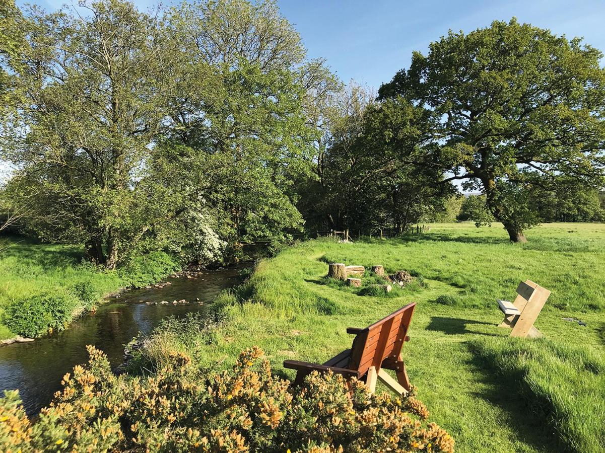 Maesyfelin Isaf * Llanybydder