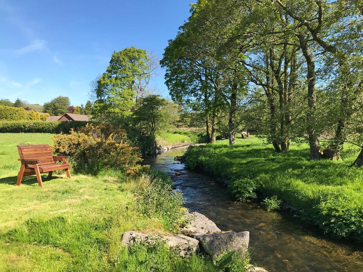 Maesyfelin Isaf Holiday home Llanybydder