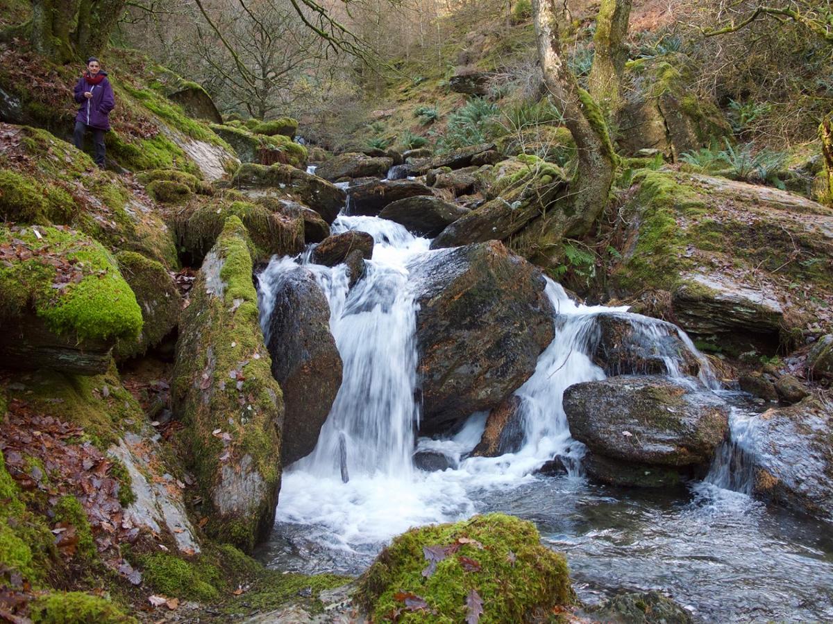 Maesyfelin Isaf Llanybydder