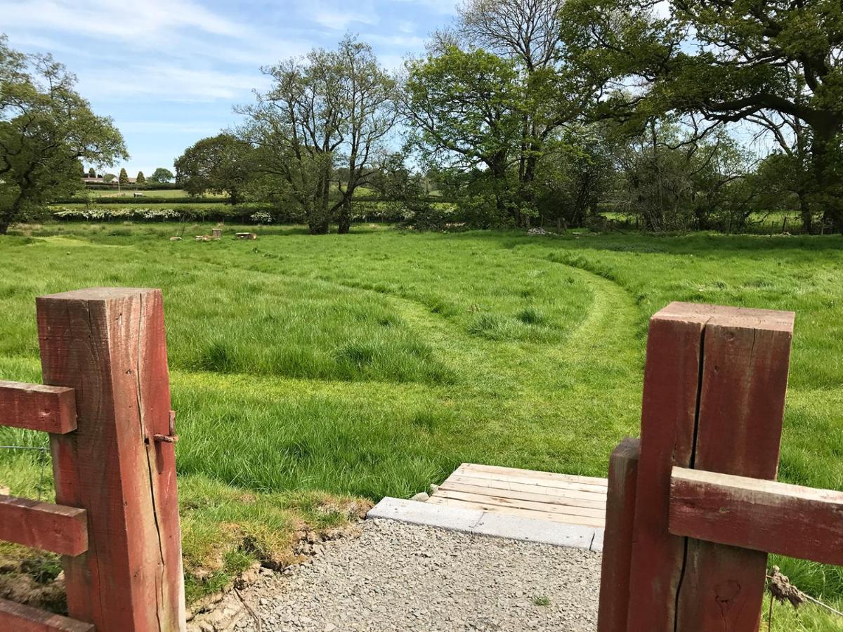 Maesyfelin Isaf * Llanybydder