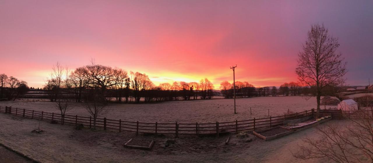 Maesyfelin Isaf * Llanybydder